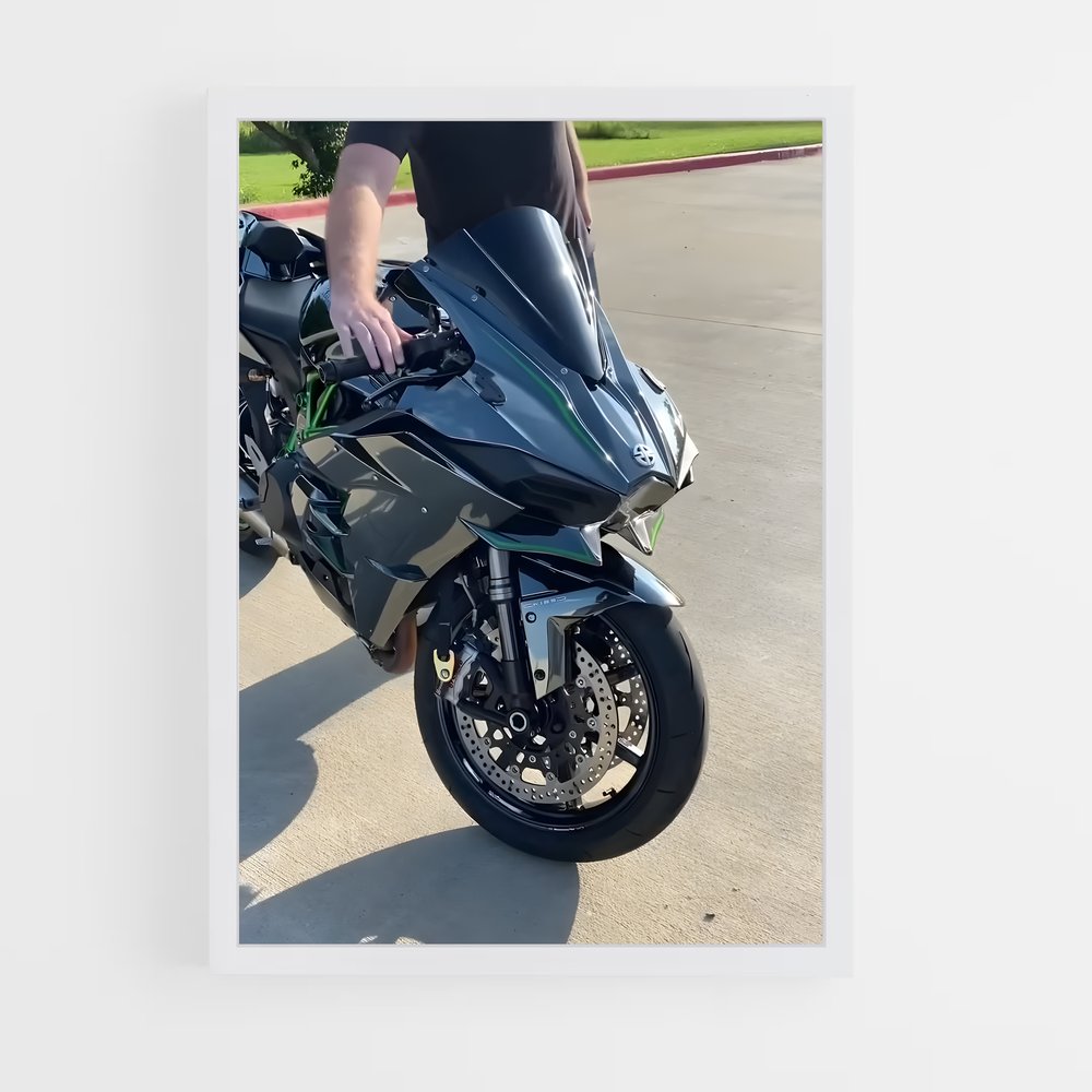 Poster Ninja h2 SX Vif et Futé (vue 3)